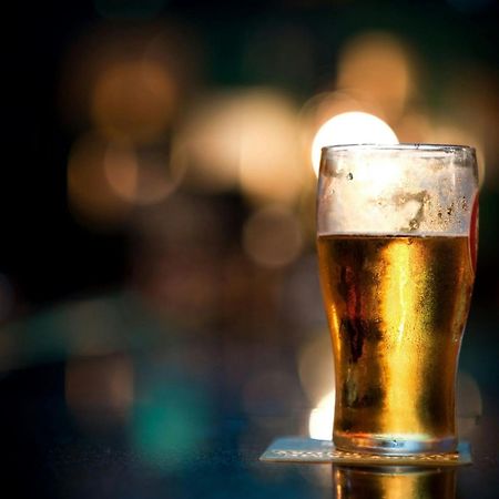 芝加哥奥黑尔万豪万枫套房酒店 德斯普兰斯 外观 照片